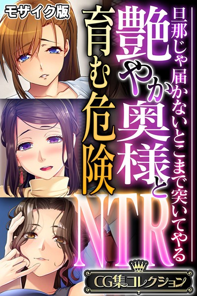 【×大人のSEXY絵本】艶やか奥様と育む危険NTR 〜旦那じゃ届かないとこまで突いてやる〜【CG集コレクション】 モザイク版