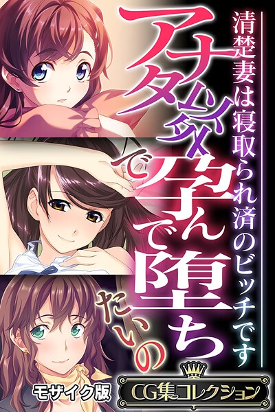 【×大人のSEXY絵本】アナタ以外で孕んで堕ちたいの 〜清楚妻は寝取られ済のビッチです〜【CG集コレクション】 モザイク版