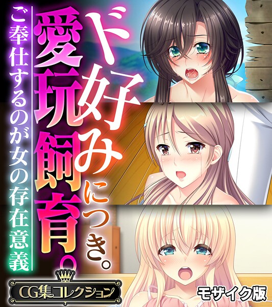 【×大人のSEXY絵本】ド好みにつき。愛玩飼育。 〜ご奉仕するのが女の存在意義〜【CG集コレクション】 モザイク版